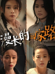 短剧漫长的回家路海报