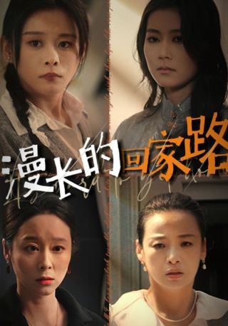 短剧漫长的回家路海报