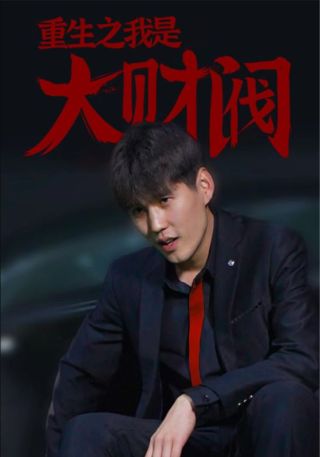 短剧重生之我是大财阀海报