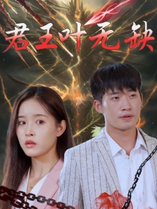 短剧君王叶无缺海报