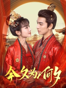 短剧今夕为何夕海报