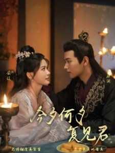 短剧今夕何夕复见君海报