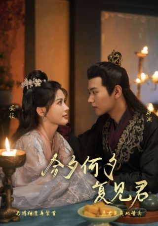 短剧今夕何夕复见君海报