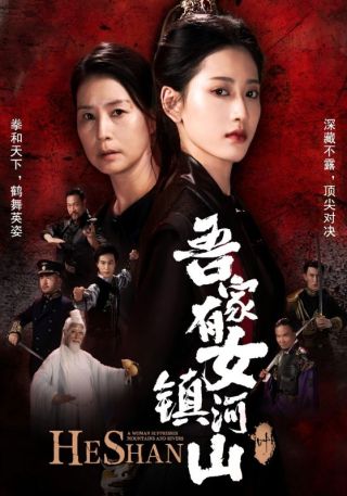 短剧吾家有女镇河山海报