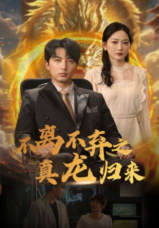 短剧不离不弃之真龙归来海报