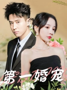 短剧第一婚宠海报