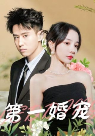 短剧第一婚宠海报