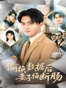 短剧偷换数据后妻子悔断肠海报