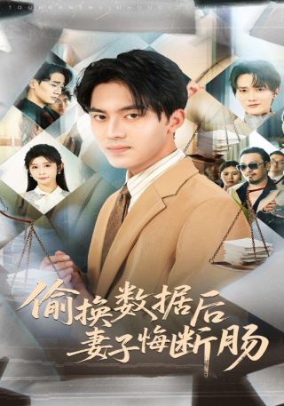 短剧偷换数据后妻子悔断肠海报