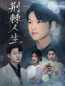 短剧荆棘人生海报