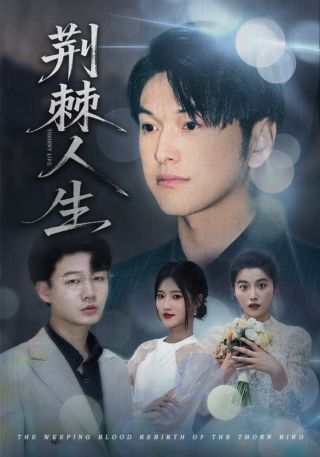 短剧荆棘人生海报