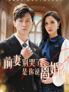 短剧前妻别哭了，是你说离婚的海报