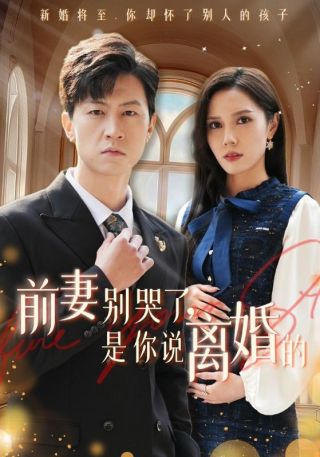 短剧前妻别哭了，是你说离婚的海报