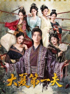 短剧大夏第一夫海报