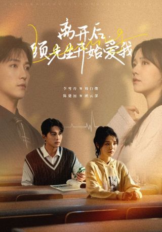 短剧离开后，顾先生开始爱我海报