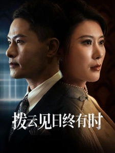 短剧拨云见日终有时海报