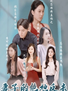 短剧妻子的绝地反击海报