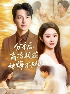短剧分手后，高冷校花她悔不当初海报