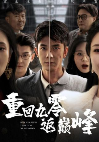 短剧重回九零返巅峰海报