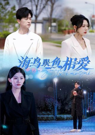 短剧海鸟跟鱼相爱海报