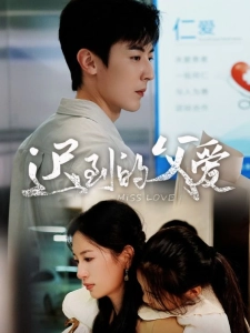 短剧迟到的父爱海报