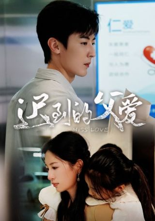 短剧迟到的父爱海报