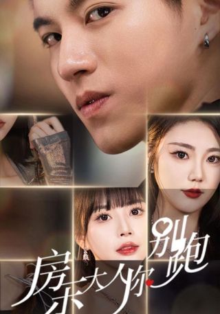 短剧房东大人你别跑海报