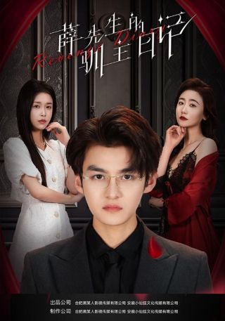 短剧薛先生的驯主日记海报