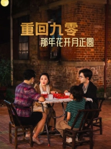 短剧重回九零那年花开月正圆海报