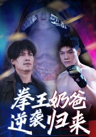 短剧拳王奶爸逆袭归来海报