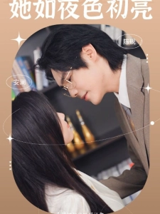 短剧她如夜色初亮海报