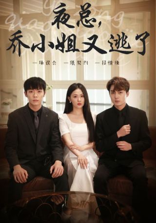 短剧夜总，乔小姐又逃了海报