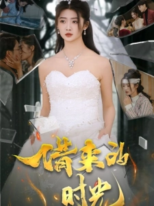 短剧借来的时光海报