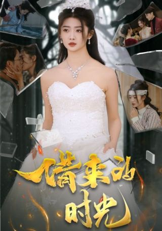 短剧借来的时光海报