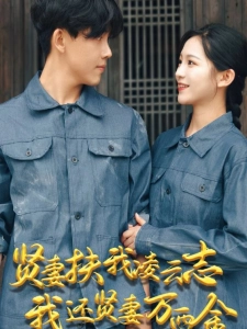 短剧贤妻扶我凌云志我还贤妻万两金海报