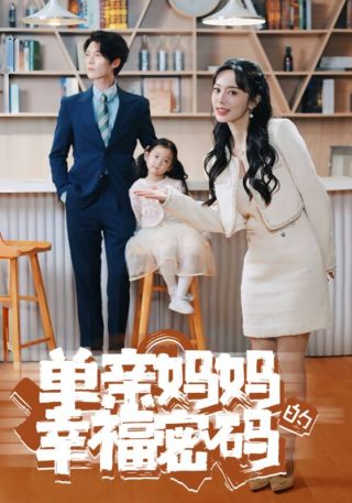 短剧单亲妈妈的幸福密码海报