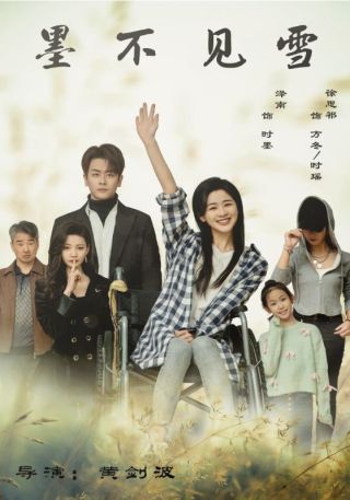 短剧墨不见雪海报