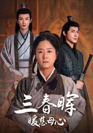 短剧三春晖暖慈母心海报