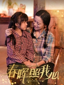 短剧春晖照我心海报