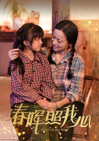 短剧春晖照我心海报