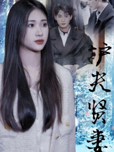 短剧护夫贤妻海报