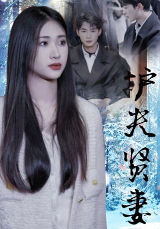 短剧护夫贤妻海报