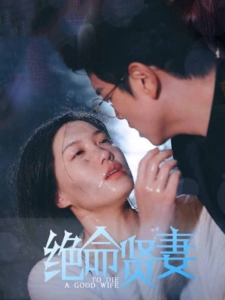 短剧绝命贤妻海报