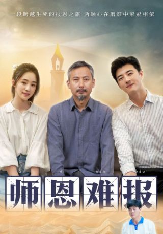 短剧师恩难报海报