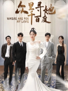 短剧众里寻她千百度海报