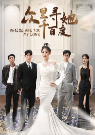 短剧众里寻她千百度海报