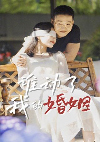 短剧谁动了我的婚姻海报