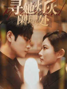 短剧寻她灯火阑珊处海报