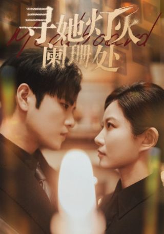 短剧寻她灯火阑珊处海报