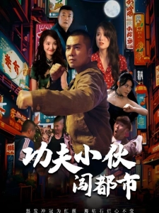 短剧功夫小伙闯都市海报